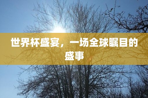 世界杯 第10页