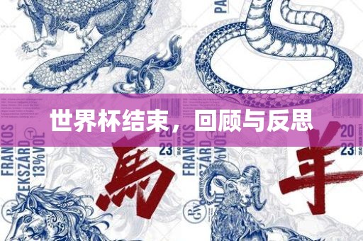 世界杯结束，回顾与反思