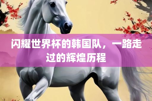 闪耀世界杯的韩国队，一路走过的辉煌历程
