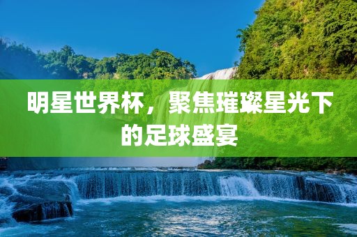 明星世界杯，聚焦璀璨星光下的足球盛宴