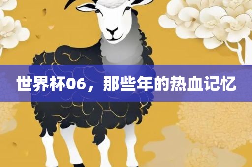 世界杯06，那些年的热血记忆