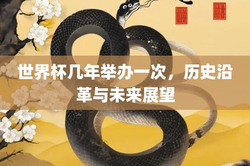 世界杯几年举办一次，历史沿革与未来展望漯河市盈旭机械设备有限公司