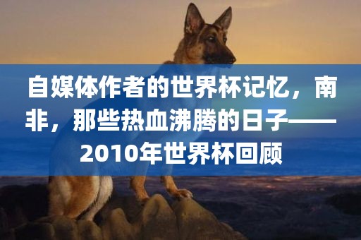 自媒体作者的世界杯记忆，南非，那些热血沸腾的日子——2010年世界杯回顾