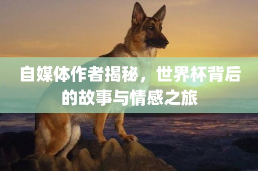 自媒体作者揭秘，世界杯背后的故事与情感之旅
