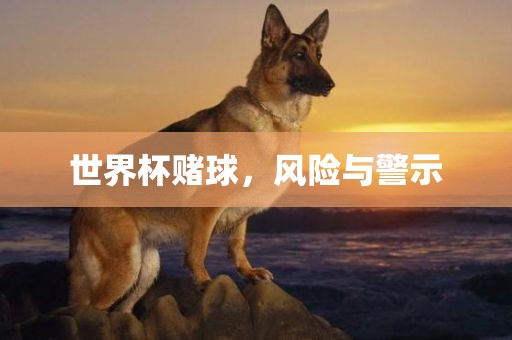 世界杯赌球，风险与警示