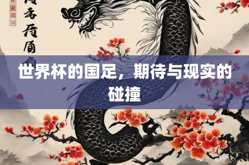 世界杯的国足，期待与现实的碰撞