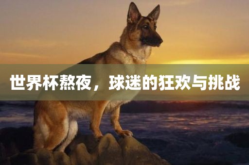 世界杯熬夜，球迷的狂欢与挑战