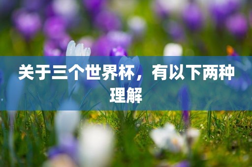 关于三个世界杯漯河市盈旭机械设备有限公司，有以下两种理解