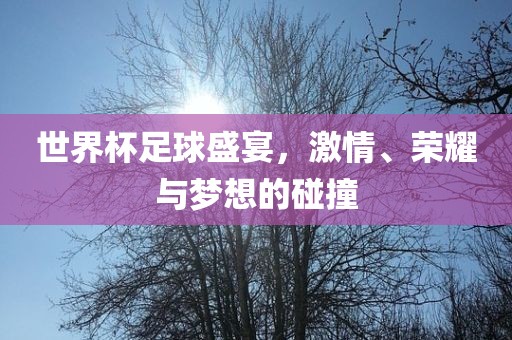 世界杯足球盛宴，激情、荣耀与梦想的碰撞