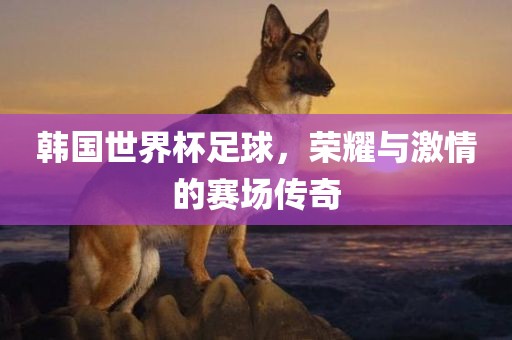 韩国世界杯足球，荣耀与激情的赛场传奇