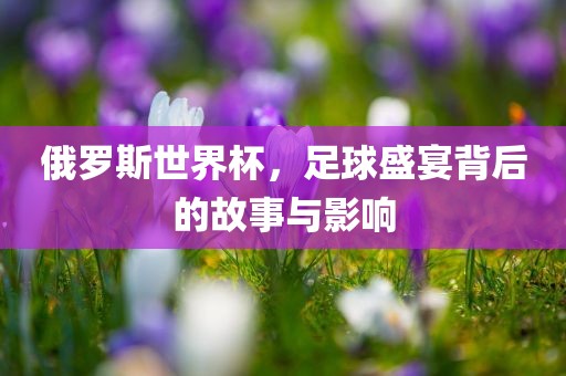 俄罗斯世界杯，足球盛宴背后的故事与影响