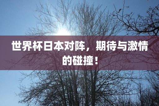 世界杯日本对阵，期待与激情的碰撞！