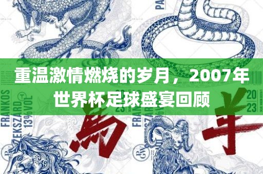 重温激情燃烧的岁月，2007年世界杯足球盛宴回顾