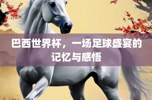 巴西世界杯，一场足球盛宴的记忆与感悟