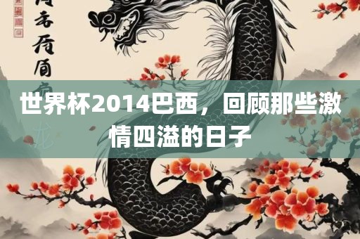 世界杯2014巴西，回顾那些激情四溢的日子