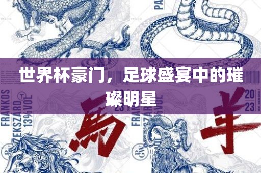 世界杯豪门，足球盛宴中的璀璨明星