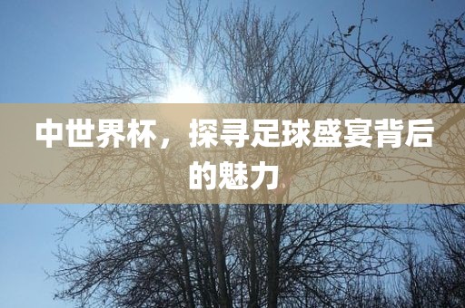 中世界杯，探寻足球盛宴背后的魅力