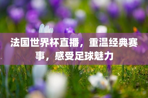 法国世界杯直播，重温经典赛事，感受足球魅力