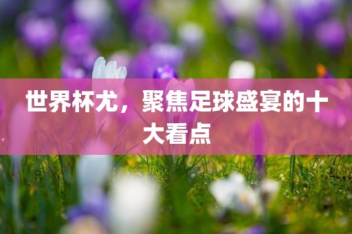 世界杯尤，聚焦足球盛宴的十大看点漯河市盈旭机械设备有限公司