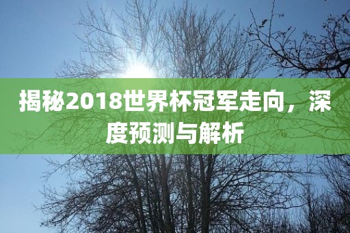 揭秘2018世界杯冠军走向，深度预测与解析