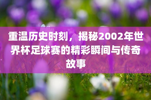 重温历史时刻，揭秘2002年世界杯足球赛的精彩瞬间与传奇故事