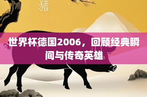 世界杯德国2006，回顾经典瞬间与传奇英雄