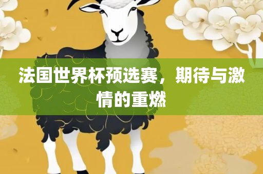 法国世界杯预选赛，期待与激情的重燃