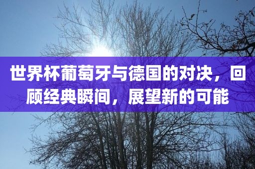世界杯葡萄牙与德国的对决，回顾经典瞬间，展望新的可能