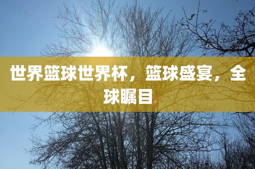 世界篮球世界杯，篮球盛宴，全球瞩目