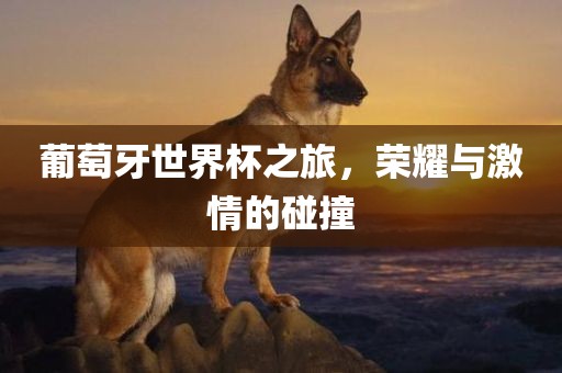 葡萄牙世界杯之旅，荣耀与激情的碰撞