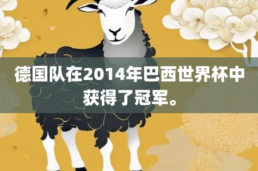 德国队在2014年巴西世界杯中获得了冠军。