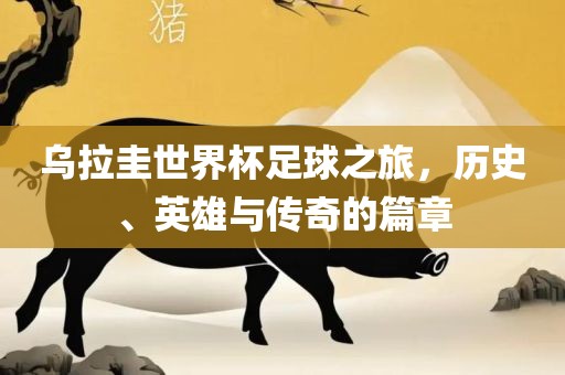 乌拉圭世界杯足球之旅，历史、英雄与传奇的篇章