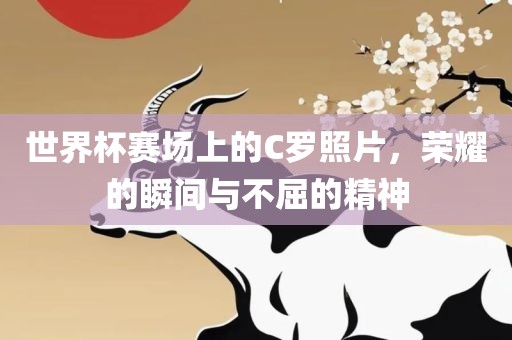 世界杯赛场上的C罗照片，荣耀的瞬间与不屈的精神漯河市盈旭机械设备有限公司