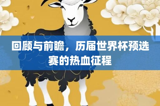 回顾与前瞻，历届世界杯预选赛的热血征程