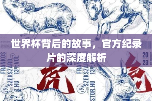 世界杯背后的故事，官方纪录片的深度解析