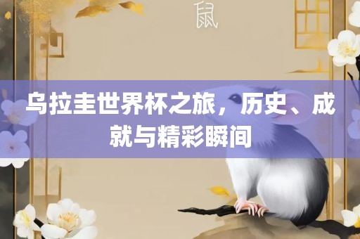 乌拉圭世界杯之旅，历史、成就与精彩瞬间