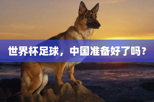 世界杯足球，中国准备好了吗？