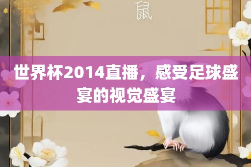 世界杯2014直播，感受足球盛宴的视觉盛宴