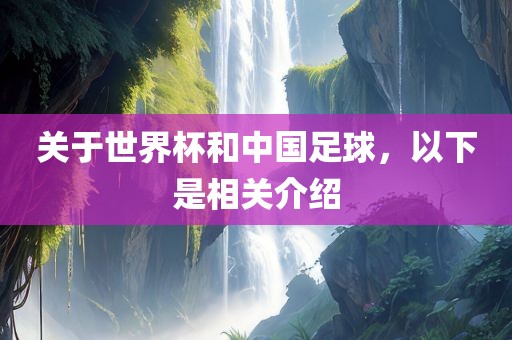 关于世界杯和中国足球，以下是相关介绍