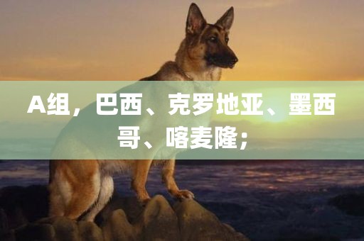 A组，巴西、克罗地亚、墨西哥、喀麦隆；