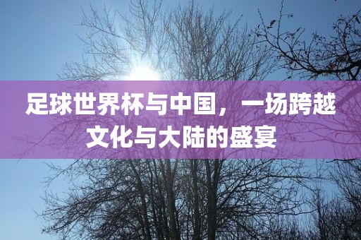 足球世界杯与中国，一场跨越文化与大陆的盛宴