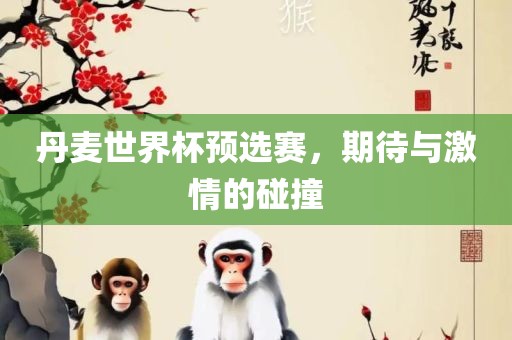 丹麦世界杯预选赛，期待与激情的碰撞