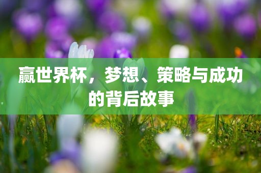 赢世界杯，梦想、策略与成功的背后故事