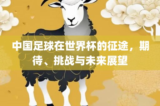 中国足球在世界杯的征途，期待、挑战与未来展望