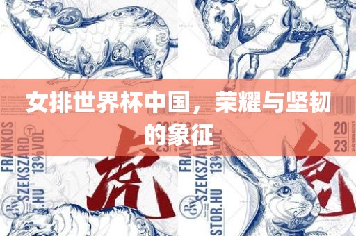 女排世界杯中国，荣耀与坚韧的象征漯河市盈旭机械设备有限公司