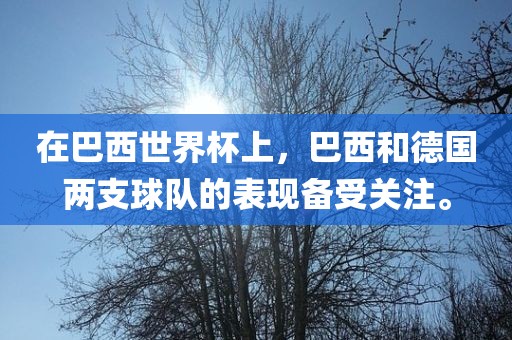 在巴西世界杯上，巴西和德国两支球队的表现备受关注。