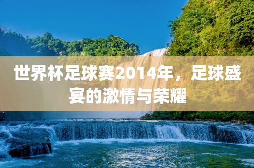 世界杯足球赛2014年，足球盛宴的激情与荣耀