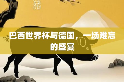 巴西世界杯与德国，一场难忘的盛宴