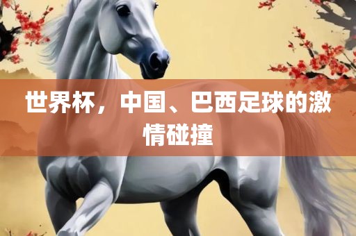 世界杯，中国、巴西足球的激情碰撞