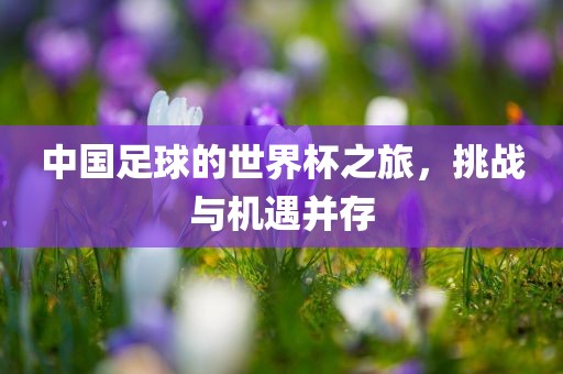 中国足球的世界杯之旅，挑战与机遇并存